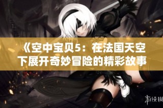 《空中宝贝5：在法国天空下展开奇妙冒险的精彩故事》