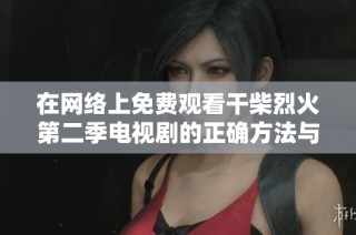 在网络上免费观看干柴烈火第二季电视剧的正确方法与推荐资源分享