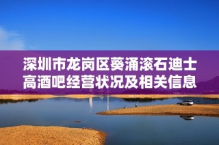 深圳市龙岗区葵涌滚石迪士高酒吧经营状况及相关信息分析
