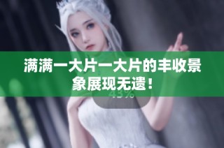满满一大片一大片的丰收景象展现无遗！