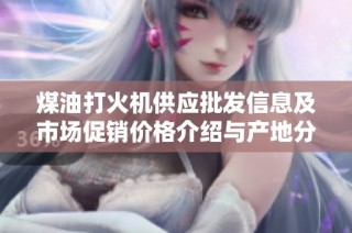 煤油打火机供应批发信息及市场促销价格介绍与产地分析