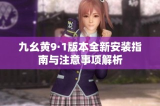 九幺黄9·1版本全新安装指南与注意事项解析