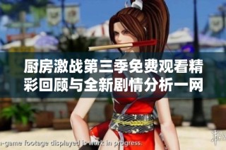 厨房激战第三季免费观看精彩回顾与全新剧情分析一网打尽