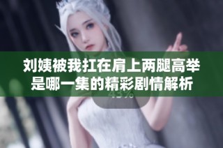 刘姨被我扛在肩上两腿高举是哪一集的精彩剧情解析