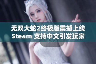 无双大蛇2终极版震撼上线Steam 支持中文引发玩家热潮