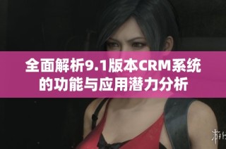 全面解析9.1版本CRM系统的功能与应用潜力分析