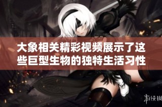 大象相关精彩视频展示了这些巨型生物的独特生活习性和自然魅力