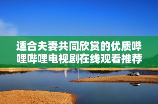 适合夫妻共同欣赏的优质哔哩哔哩电视剧在线观看推荐