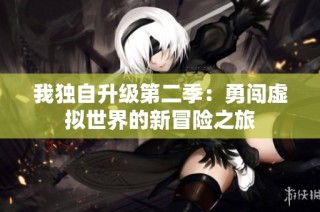 我独自升级第二季：勇闯虚拟世界的新冒险之旅