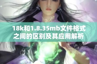 18k和1.8.35mb文件格式之间的区别及其应用解析