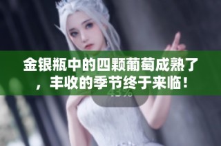 金银瓶中的四颗葡萄成熟了，丰收的季节终于来临！