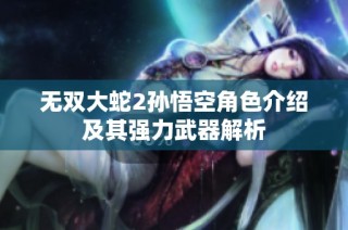 无双大蛇2孙悟空角色介绍及其强力武器解析