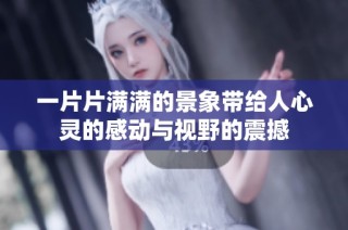 一片片满满的景象带给人心灵的感动与视野的震撼