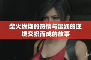 柴火燃烧的热情与湿润的逆境交织而成的故事