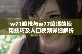 w71喷枪与w77喷嘴的使用技巧及入口视频详细解析与展示