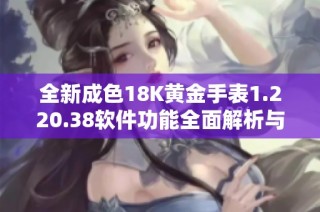 全新成色18K黄金手表1.220.38软件功能全面解析与推荐