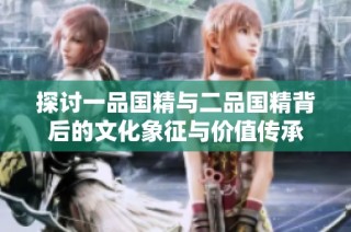 探讨一品国精与二品国精背后的文化象征与价值传承