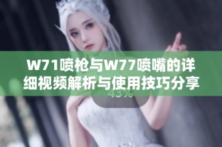 W71喷枪与W77喷嘴的详细视频解析与使用技巧分享