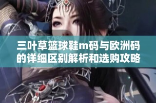 三叶草篮球鞋m码与欧洲码的详细区别解析和选购攻略