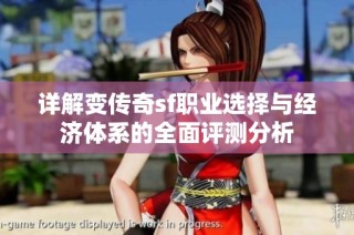 详解变传奇sf职业选择与经济体系的全面评测分析
