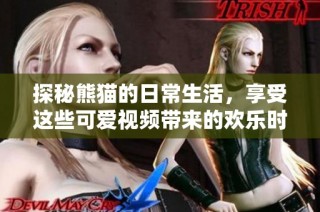 探秘熊猫的日常生活，享受这些可爱视频带来的欢乐时光