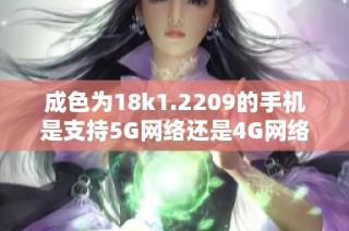 成色为18k1.2209的手机是支持5G网络还是4G网络呢