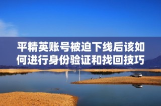 平精英账号被迫下线后该如何进行身份验证和找回技巧解析