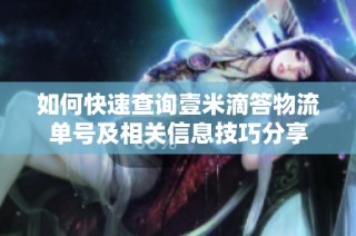 如何快速查询壹米滴答物流单号及相关信息技巧分享