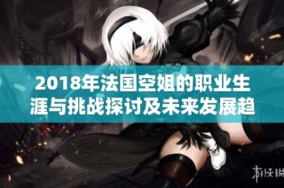 2018年法国空姐的职业生涯与挑战探讨及未来发展趋势分析