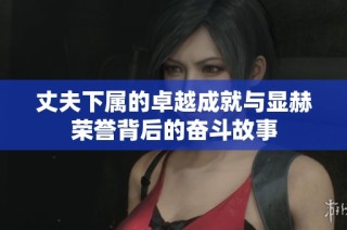 丈夫下属的卓越成就与显赫荣誉背后的奋斗故事