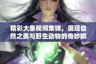 精彩大象视频集锦，展现自然之美与野生动物的奇妙瞬间
