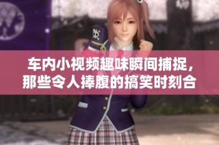车内小视频趣味瞬间捕捉，那些令人捧腹的搞笑时刻合集