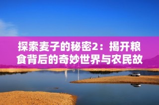 探索麦子的秘密2：揭开粮食背后的奇妙世界与农民故事