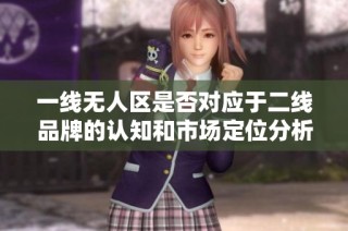 一线无人区是否对应于二线品牌的认知和市场定位分析