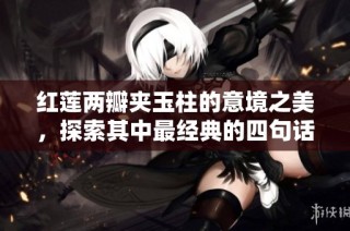 红莲两瓣夹玉柱的意境之美，探索其中最经典的四句话深意与情感