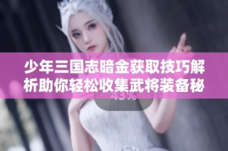 少年三国志暗金获取技巧解析助你轻松收集武将装备秘诀
