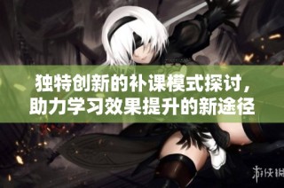 独特创新的补课模式探讨，助力学习效果提升的新途径