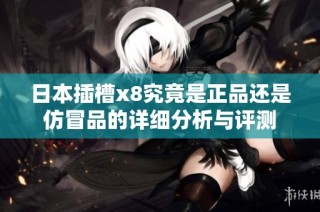 日本插槽x8究竟是正品还是仿冒品的详细分析与评测