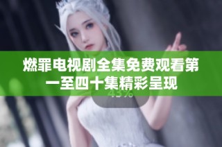 燃罪电视剧全集免费观看第一至四十集精彩呈现