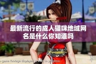 最新流行的成人猫咪地域网名是什么你知道吗