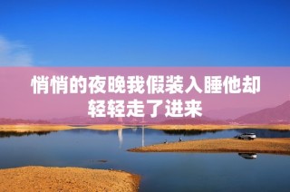 悄悄的夜晚我假装入睡他却轻轻走了进来