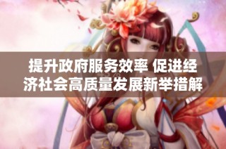 提升政府服务效率 促进经济社会高质量发展新举措解析
