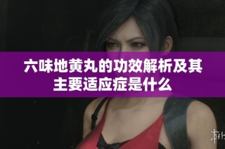 六味地黄丸的功效解析及其主要适应症是什么