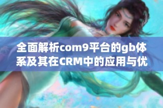 全面解析com9平台的gb体系及其在CRM中的应用与优势