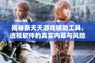 揭秘新天天游戏辅助工具，透视软件的真实内幕与风险分析