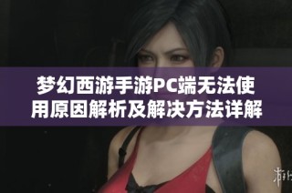 梦幻西游手游PC端无法使用原因解析及解决方法详解