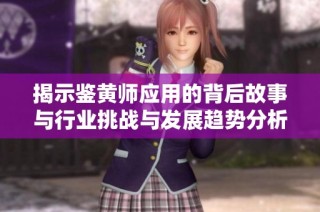 揭示鉴黄师应用的背后故事与行业挑战与发展趋势分析