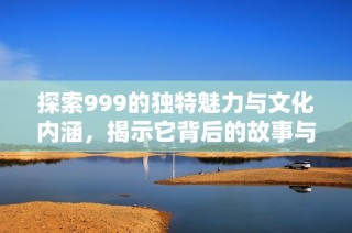 探索999的独特魅力与文化内涵，揭示它背后的故事与意义