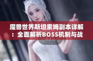 魔兽世界斯坦索姆副本详解：全面解析BOSS机制与战斗策略