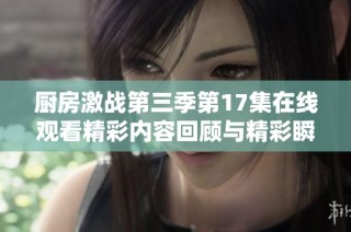 厨房激战第三季第17集在线观看精彩内容回顾与精彩瞬间分享